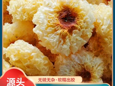 福建古田银耳整朵500g散装特产银耳子食用菌白木耳大雪耳现货批发  20件起批图1