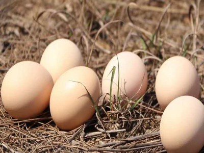 鸡蛋整箱40枚土鸡蛋 农家散养草鸡蛋笨鸡蛋柴鸡蛋可批发破损必赔 2箱起批图4