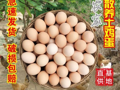 农家土鸡蛋批发山林散养新鲜鸡蛋60枚笨鸡蛋柴鸡蛋鲜鸡蛋  2箱起批图1
