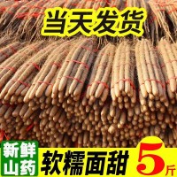 现挖怀山药垆土山药新鲜淮山药麻山药五斤小白嘴山药批发包邮 2件起批