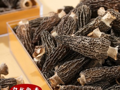 云南产地高原羊肚菌干货500g批发散装羊肚菌煲汤食材大量批发  1件起批图2