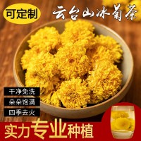 菊花冰菊驰菊花茶怀菊花韵级河南游念焦作特云台山露批发灵青 2盒起批