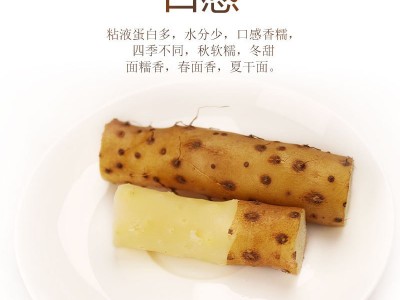 铁棍山药河南焦作温县垆土正宗新鲜长5斤批铁根淮山铁怀山铁杆棒 5个起批图5