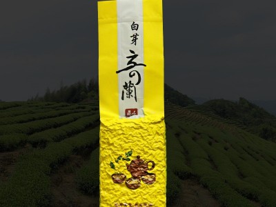 平和特产白芽奇兰福建乌龙茶白芽奇兰茶散装批发 2袋起批图5