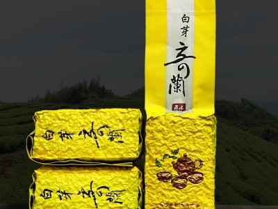 平和特产白芽奇兰福建乌龙茶白芽奇兰茶散装批发 2袋起批图4