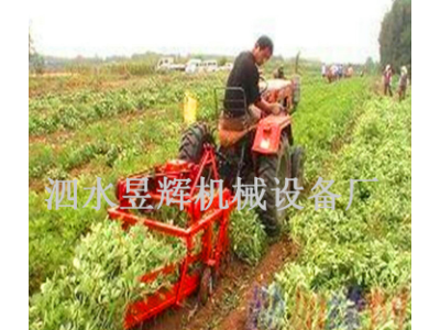 多功能根茎作物采收机 链条式疯狂花生收获机 不落果收获设备图1