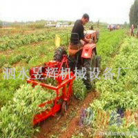 多功能根茎作物采收机 链条式疯狂花生收获机 不落果收获设备