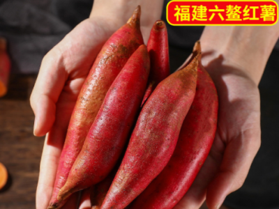 福建六鳌蜜薯新鲜沙地地瓜红心非紫薯小番薯香薯10斤包邮香糯蜜甜图1