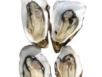 广东湛江生蚝半壳带壳100斤商用生蚝乳山鲜活牡蛎蒜蓉地摊炭烧烤图5