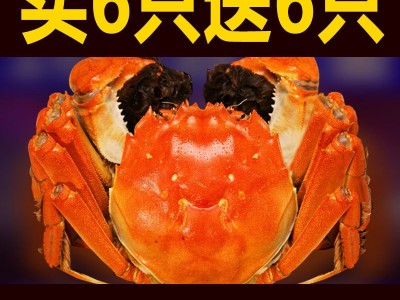 大闸蟹鲜活螃蟹礼券蟹卡礼品卡提货卡券批发团购阳澄湖镇六月黄图1