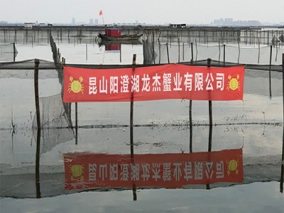 大闸蟹鲜活螃蟹礼券蟹卡礼品卡提货卡券批发团购阳澄湖镇六月黄图4