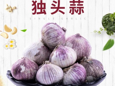 云南农家新鲜蔬菜紫皮大蒜独头蒜干大蒜白皮大独蒜土蒜现货直发（价格面议）图1