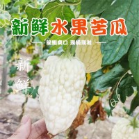 寿光产地蔬菜苦瓜清解苹果水果苦瓜果实饱满水分充足自种现摘批发 2件起批