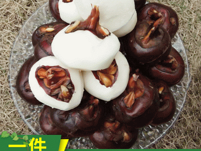 山那边农庄自种新鲜特大荔浦马蹄荸荠特色水果蔬菜清甜  2千克起批图1