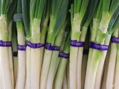 新鲜葱段大葱长葱青葱蔬菜基地直销大葱去叶去皮蘸酱大葱蔬菜批发（价格面议）图2