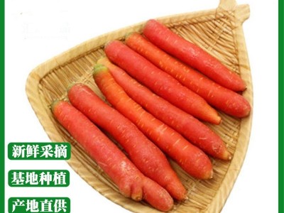胡萝卜农家新鲜水果胡萝卜蔬菜宝宝辅食水果蔬菜胡萝卜 40千克起批图1