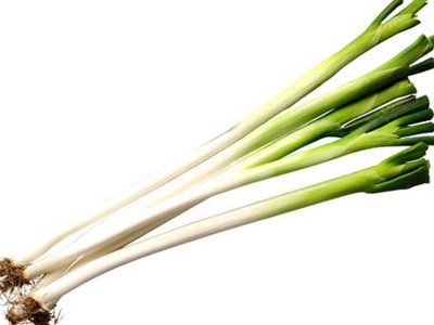 四季葱聪苗菜蒜保鲜大葱厂家直销安丘大葱批发新鲜蔬菜 40千克起批图5