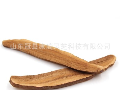 批发灵芝切片 山东灵芝片 泰山赤灵芝 切片灵芝 冠县灵芝基地 5千克起批图4