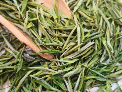 明前特级屹峰安吉白茶 2021年新茶绿茶  1斤起批图1