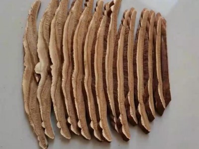 灵芝切片 赤灵芝切片 精选中心片 产地批发 厂家直供 一手货源图1