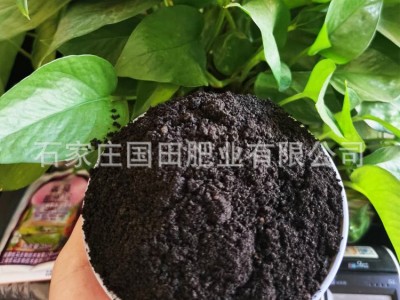 高温发酵鸡粪 粉末状鸡粪有机肥瓜果蔬菜底肥农家肥厂家批发图1