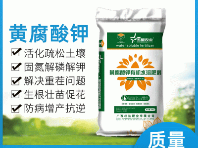广西南宁壮得福精品黄腐酸钾 南宁现货供应广西壮达肥业有限公司图1