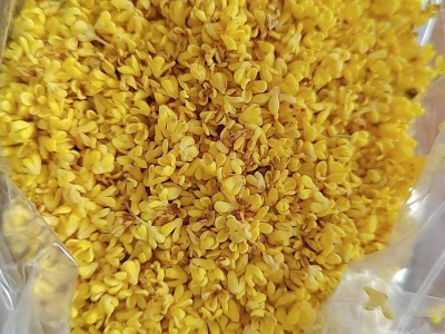 桂花厂家批发 金桂 桂花干 干桂花 广西八月桂 花草茶 桂花茶  2斤起批图5