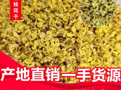 桂花厂家批发 金桂 桂花干 干桂花 广西八月桂 花草茶 桂花茶  2斤起批图1