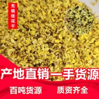 桂花厂家批发 金桂 桂花干 干桂花 广西八月桂 花草茶 桂花茶  2斤起批