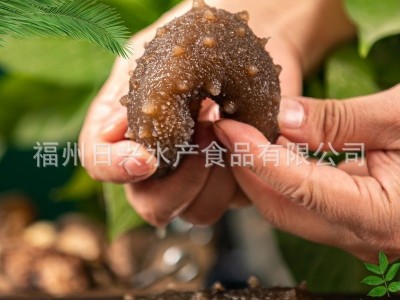 江船长锁鲜高压冷冻海参500g8粒装深海刺参方便烹饪批发厂家直销  20盒起批图3
