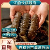 江船长锁鲜高压冷冻海参500g8粒装深海刺参方便烹饪批发厂家直销  20盒起批