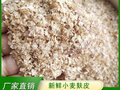 常年供应小麦麸皮 新鲜粗麦麸细麦麸 干净无杂质家禽家畜饲料添加图1
