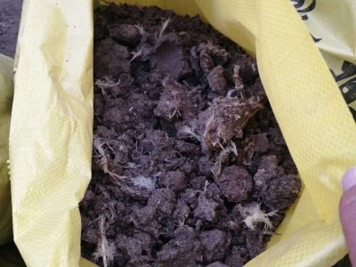 厂家出售鸡粪有机肥 羊粪有机肥 牛粪有机肥 药材有机肥 欢迎咨询图3