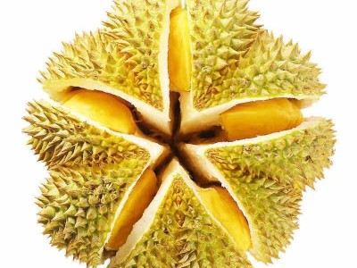 顺丰包邮泰国金枕头榴莲冷冻运输软糯香甜带壳水果2-10斤一件批发图1