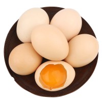新鲜散养土鸡蛋40枚营养批发农家五谷鲜鸡蛋现捡现发整箱代发r