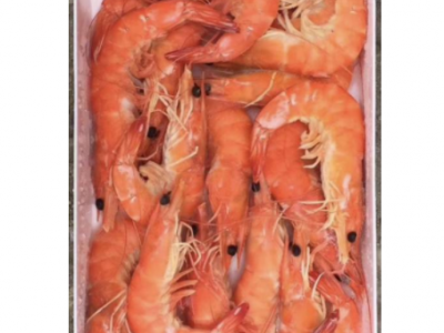 冷冻熟南美白对虾，冷冻白灼虾，唐山南美白对虾，优质盐田虾图4