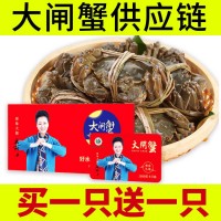 阳澄湖镇大闸蟹礼券中秋礼品大闸蟹团购批发螃蟹量大价优招代理