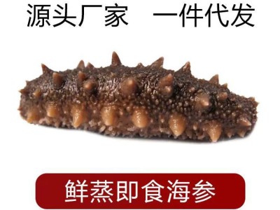大连鲜食即食海参批发非大连干货海参礼盒即食海参500g图2