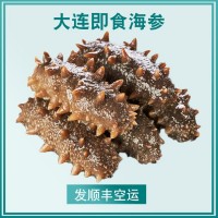 即食海参500g大连鲜活刺参辽特价货海生海渗礼盒单个装1斤