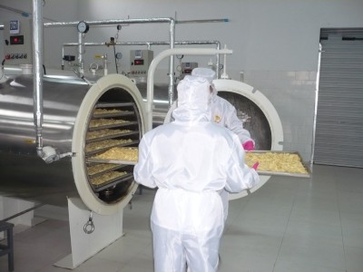 水果脆片真空压差膨化设备 果蔬实验 果蔬加工厂设备图4