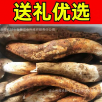 云南四川新鲜鸡枞菌不开伞大白鸡枞菌大鸡枞伞把菇鸡肉菌顺丰包邮