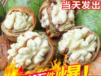 现货2022新鲜湿核桃去青皮薄皮嫩核桃带青皮绿皮孕妇生核桃5斤装图1
