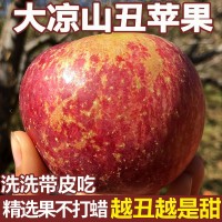 一件代发 四川大凉山丑苹果冰糖心野生水果新鲜应季超脆甜红富士