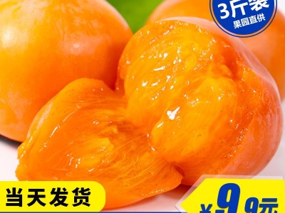 【顺丰】正宗火晶柿子软柿子糖心柿子当季水果应季新鲜现摘代发 2斤起批图1