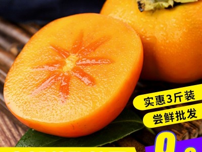 【顺丰】脆柿子新鲜水果10整箱斤当季现摘巧克力柿子脆甜硬柿包邮 2斤起批图1