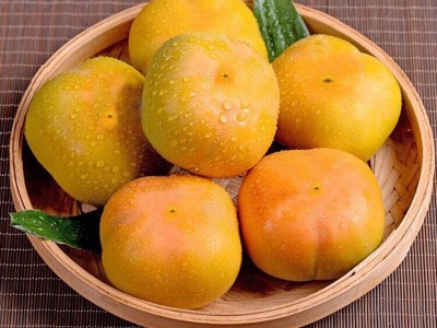 【顺丰】脆柿子新鲜水果10整箱斤当季现摘巧克力柿子脆甜硬柿包邮 2斤起批图5