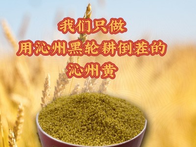 5kg无纺布包装袋沁州黄小米北方水城孕妇儿童  2袋起批图4