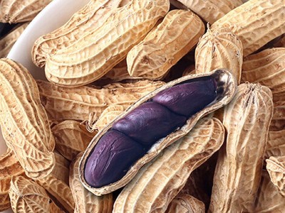 现货供应沁州黑黑花生五谷豆浆原料办公室休闲零食小吃 2件起批图4