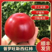 山东海阳顺丰新鲜水果现摘现发沙瓤水果番茄洋柿子普罗旺斯西红柿