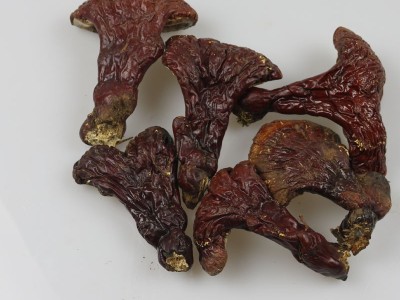 长白山灵芝 林下灵芝 紫灵芝500克一件批发图5